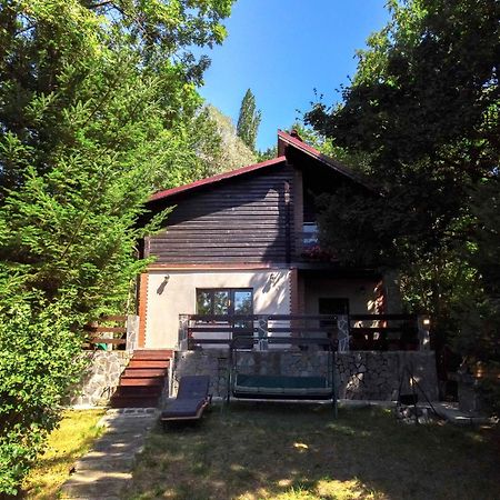 Mountain Family Chalet On Prahova Valley Comarnic Esterno foto