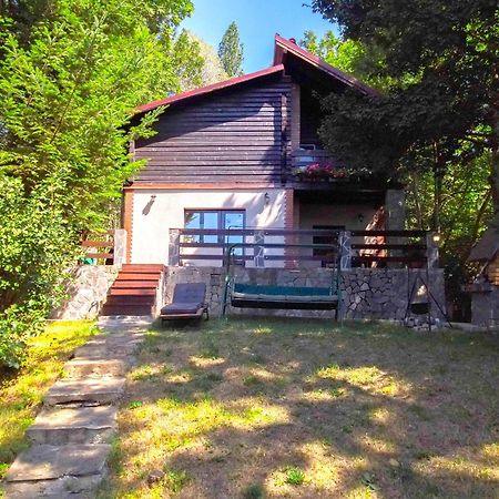 Mountain Family Chalet On Prahova Valley Comarnic Esterno foto