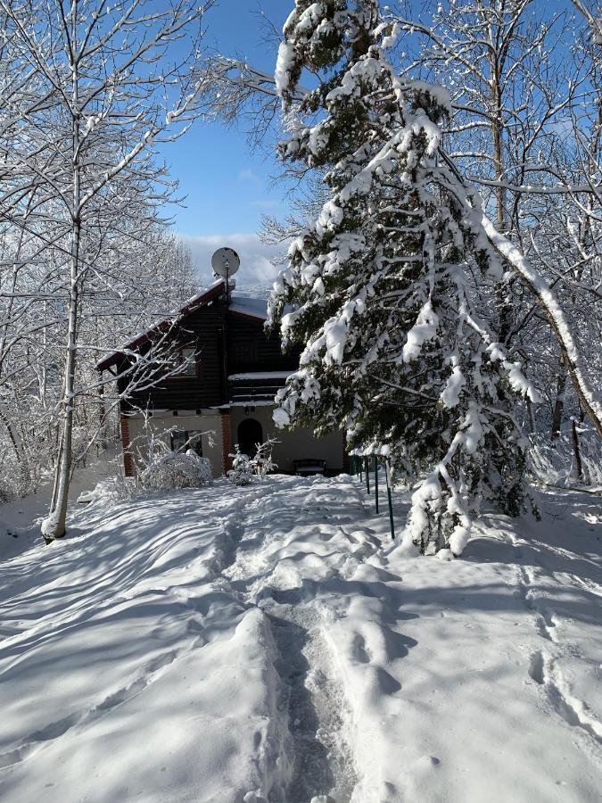 Mountain Family Chalet On Prahova Valley Comarnic Esterno foto