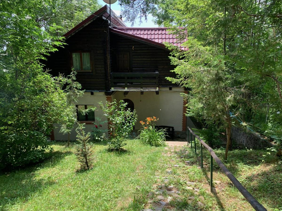 Mountain Family Chalet On Prahova Valley Comarnic Esterno foto