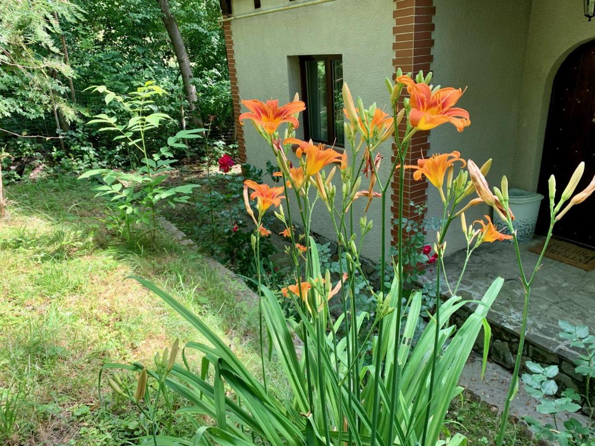 Mountain Family Chalet On Prahova Valley Comarnic Esterno foto