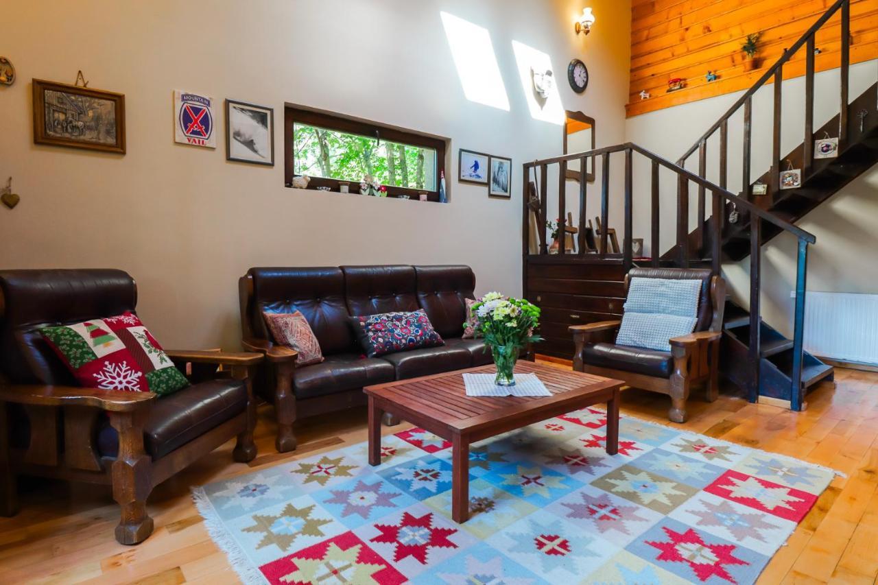 Mountain Family Chalet On Prahova Valley Comarnic Esterno foto