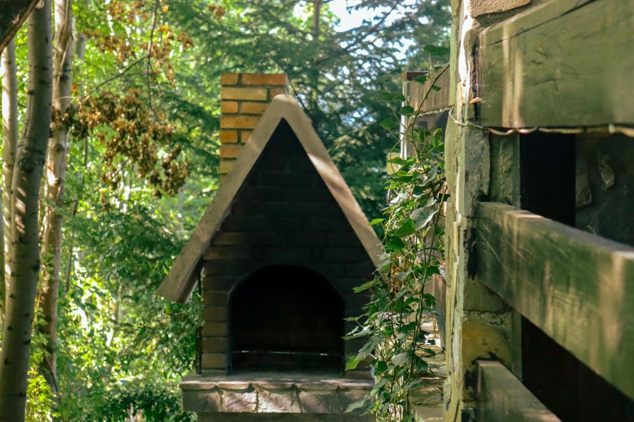 Mountain Family Chalet On Prahova Valley Comarnic Esterno foto
