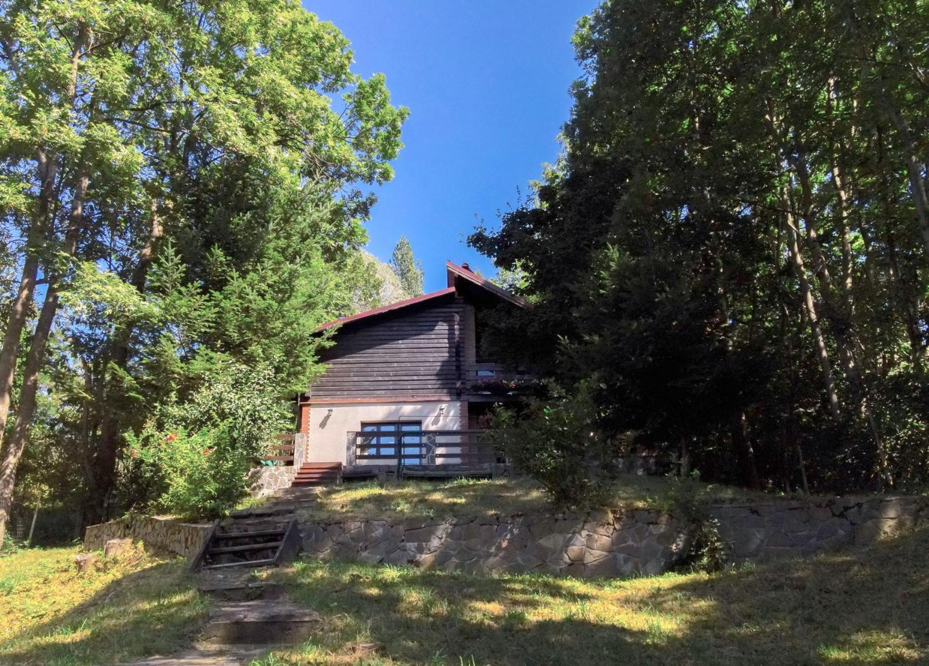 Mountain Family Chalet On Prahova Valley Comarnic Esterno foto