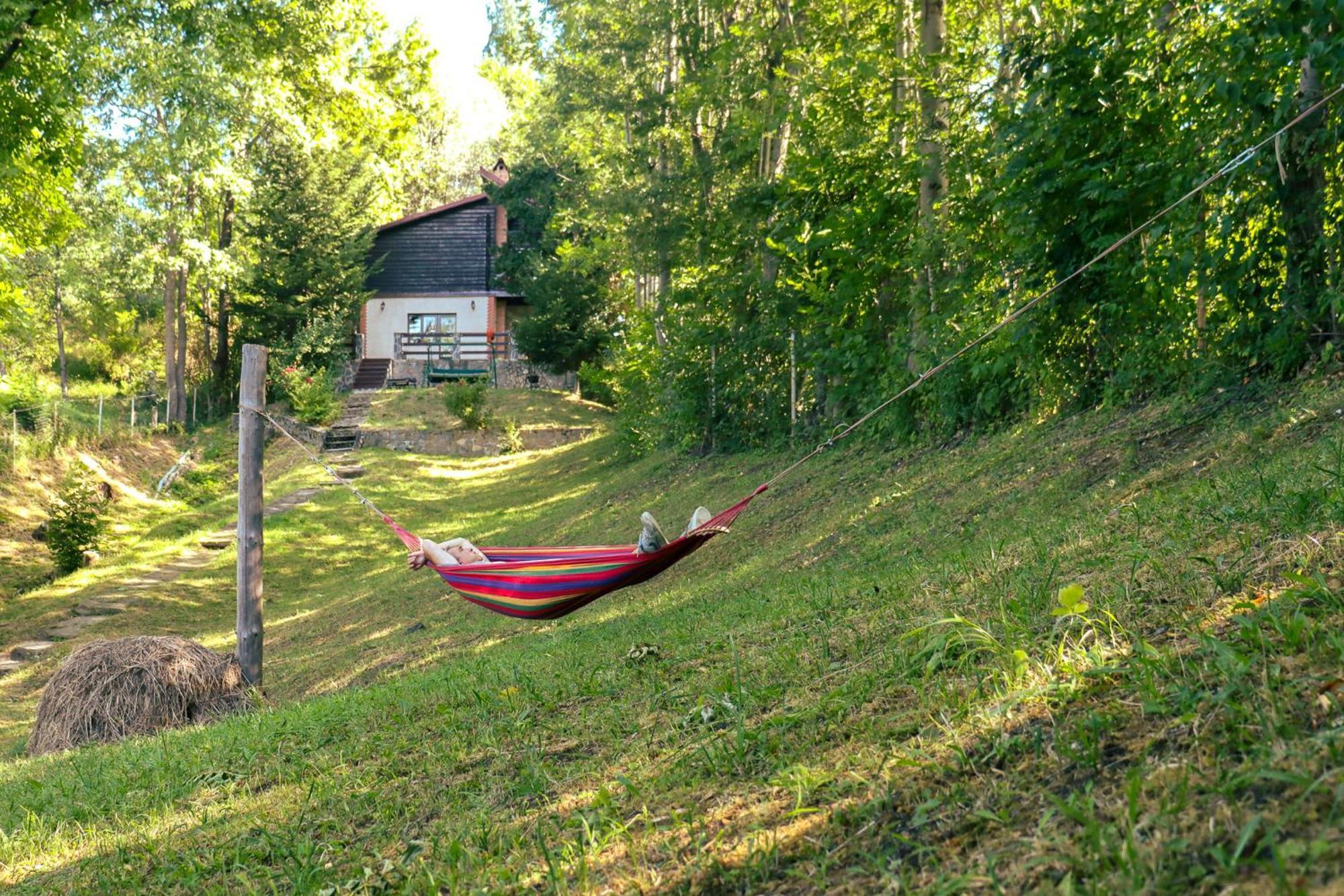 Mountain Family Chalet On Prahova Valley Comarnic Esterno foto